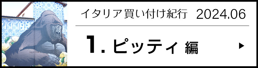 イタリア買い付け紀行 1.ピッティ 編